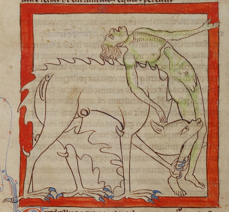 Medieval animal illustration