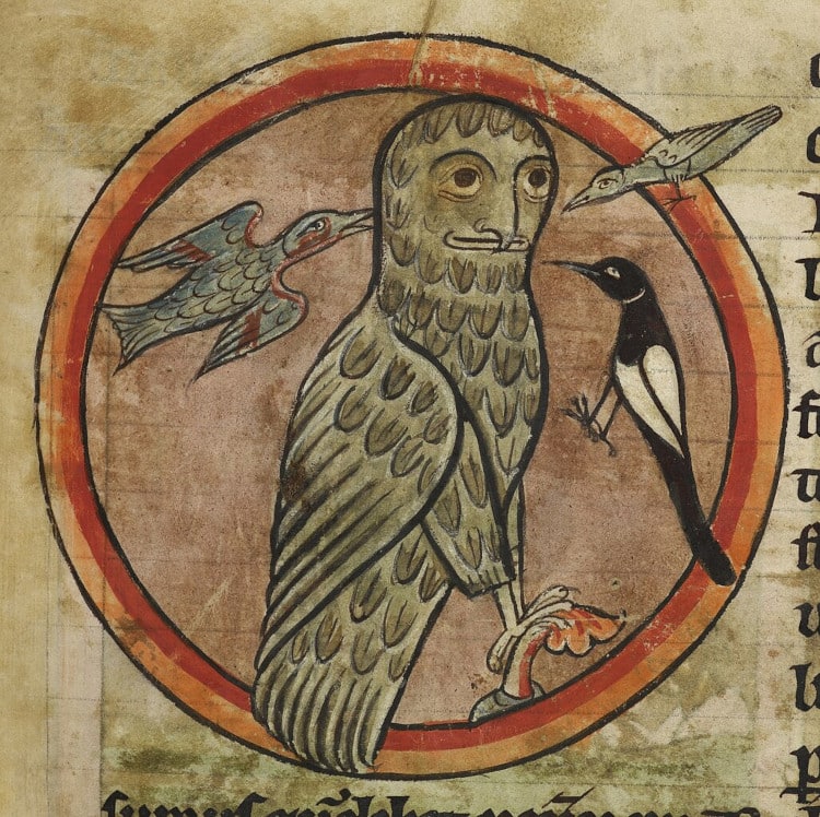 Medieval illustration of an owl with a human-looking face