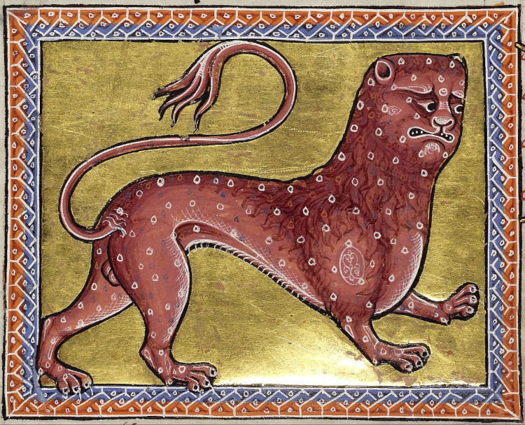 Medieval illustration of a red leopard