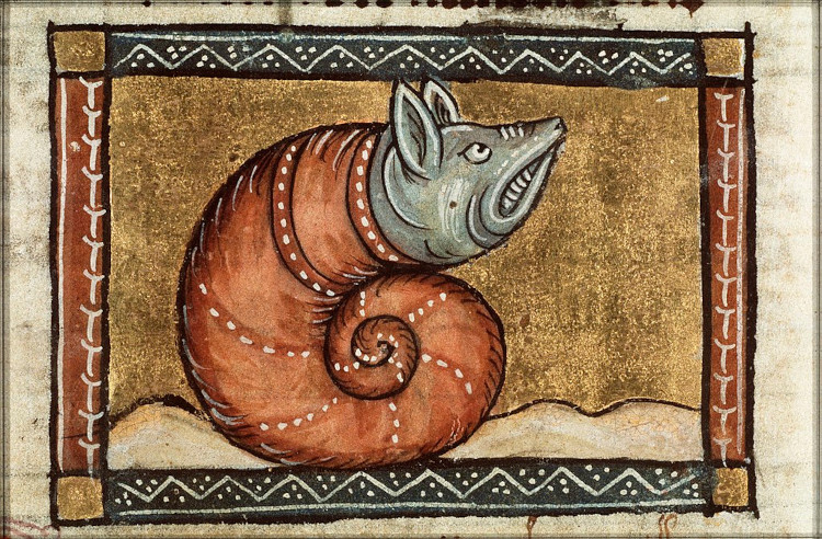 Medieval animal illustration a snail