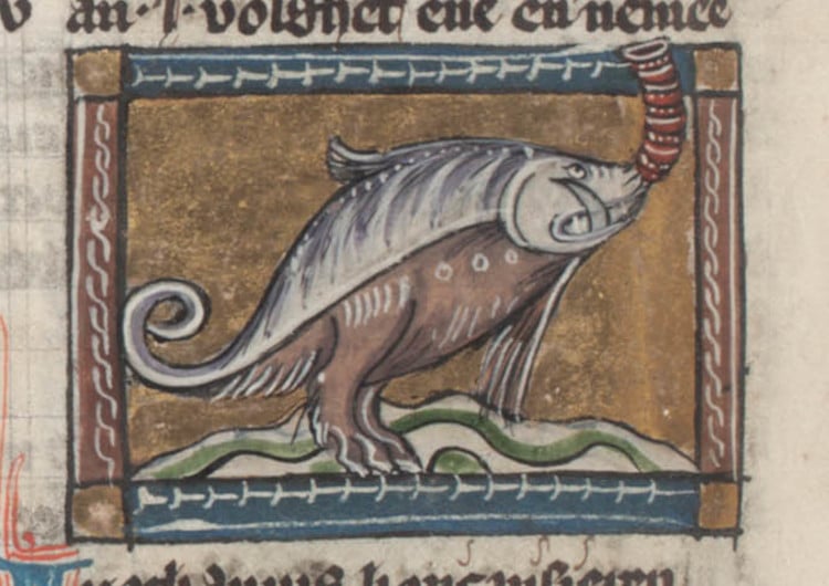 Medieval depiction of a hippopotamus