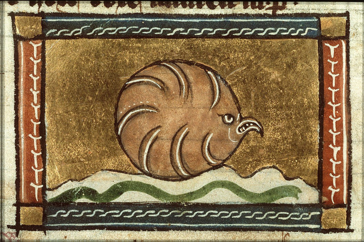 Medieval illustration of an oyster by Jacob van Maerlant