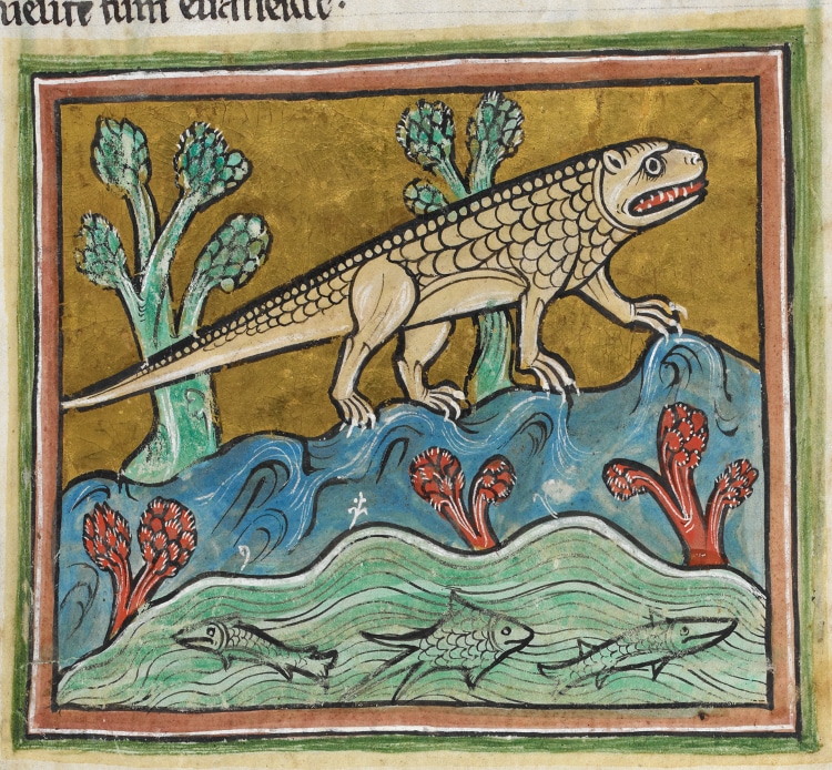 Medieval Illustration of a crocodile; detail of a miniature from the Rochester Bestiary