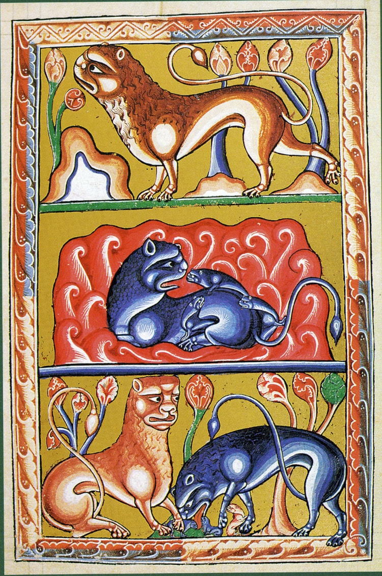 Medieval animal illustration