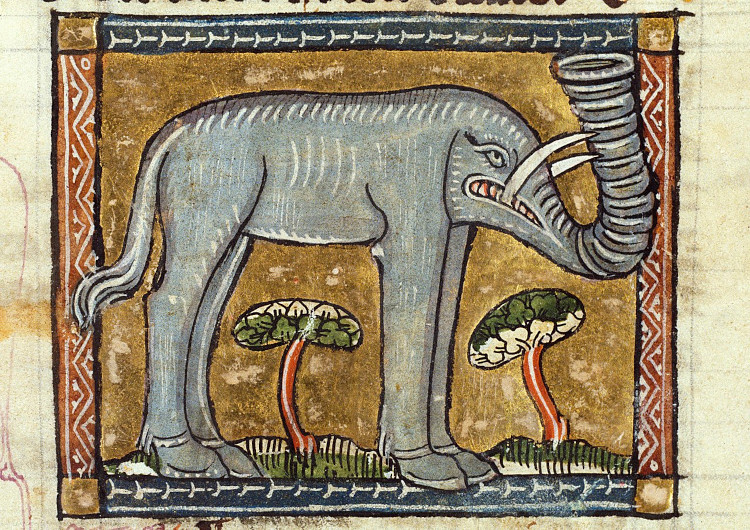 Medieval illustration of an elephant