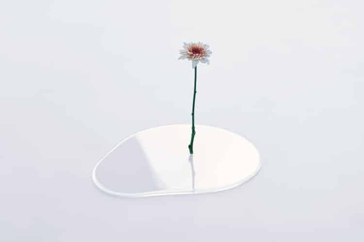 Flower in a clear puddle-like vase