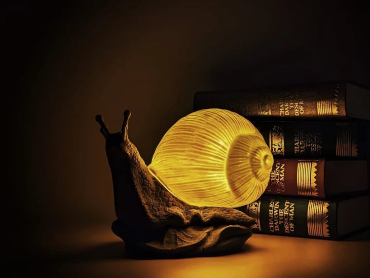 Snail lamp by Sliders custom