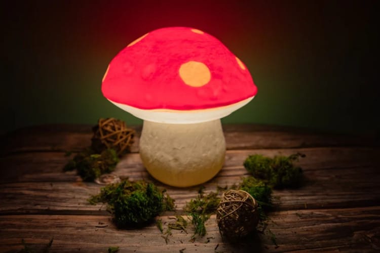 Mushroom lamp by Sliders custom