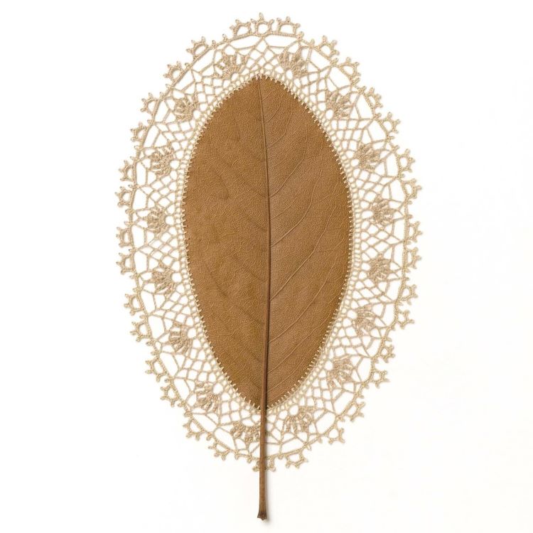 Leaf With Crocheted Lace Around It By Susanna Bauer