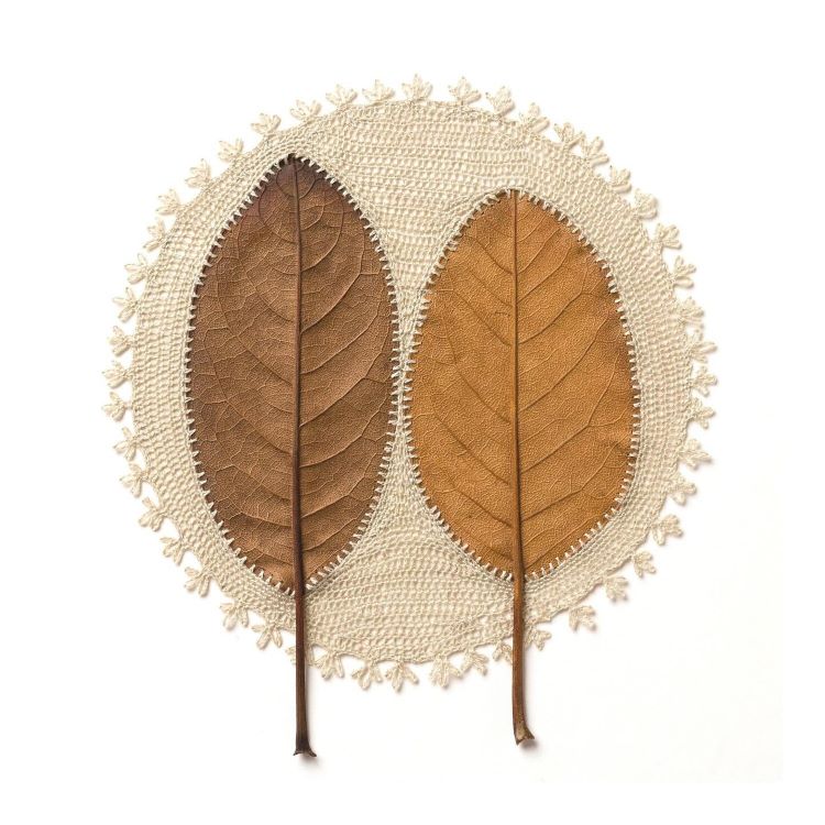 Two Leaves With Crocheted Lace Around Them By Susanna Bauer