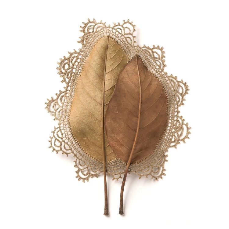 Two Leaves With Crocheted Lace Around Them By Susanna Bauer