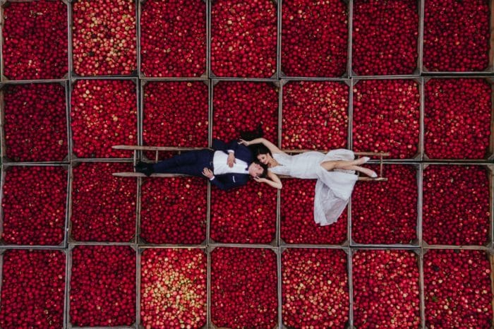 Aerial photo of bride and groom laying on boxes of apples