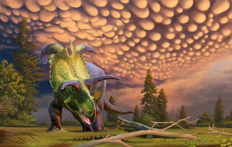 Meet the Lokiceratops, a Dinosaur With Unique Horns