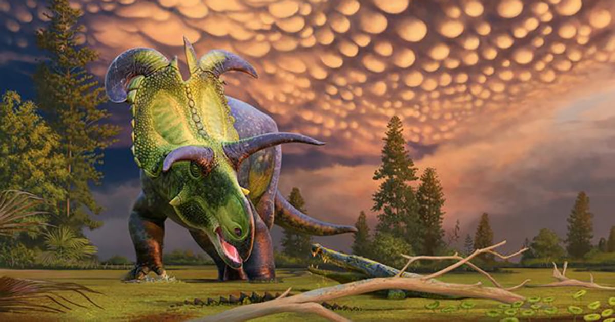 Meet the Lokiceratops, a Dinosaur With Unique Horns