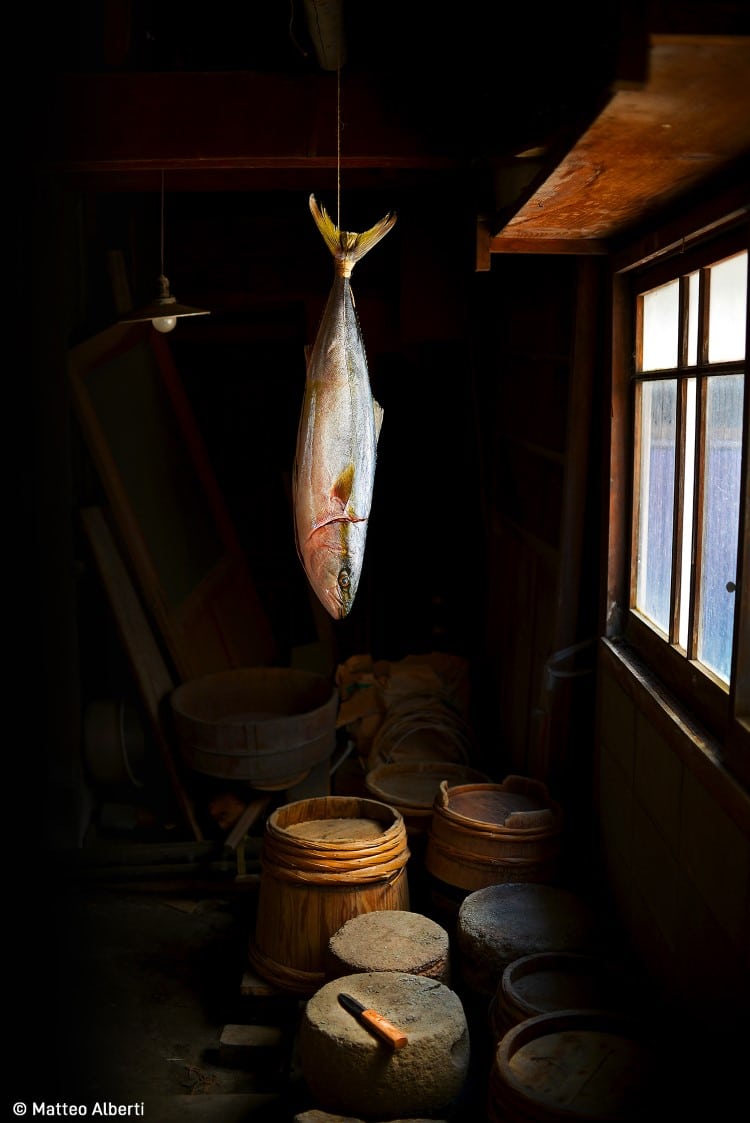 Hanging buri fish in Japan