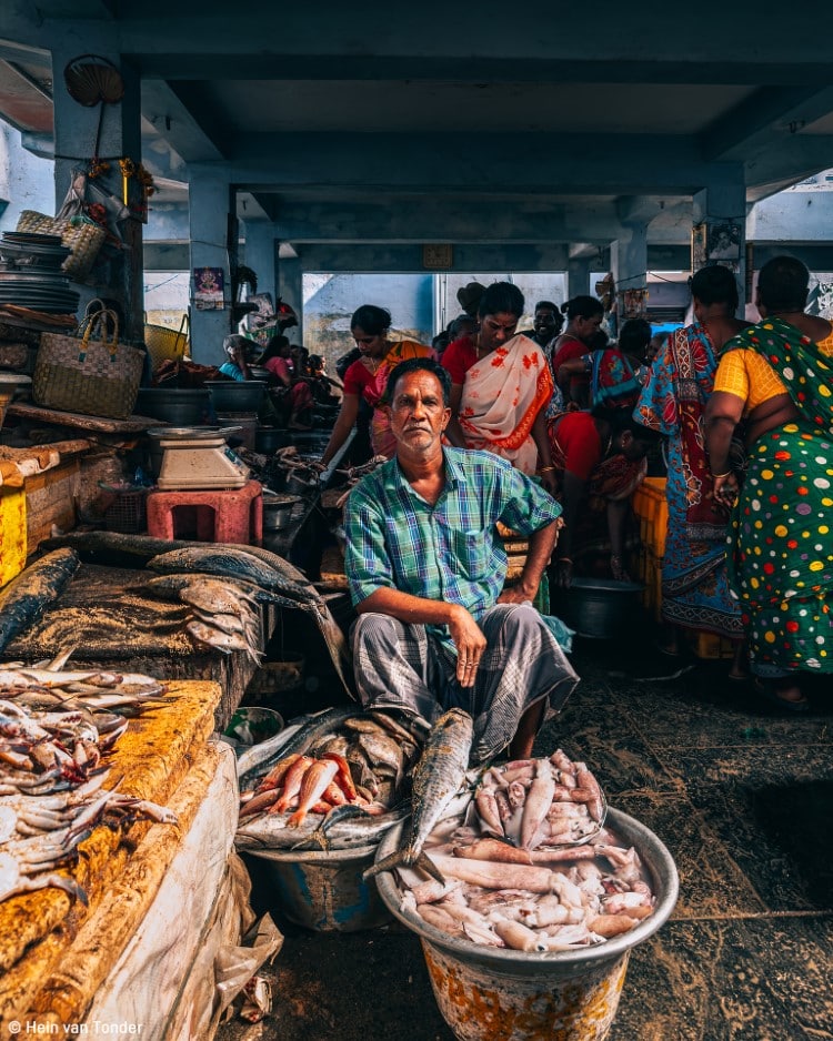 인도 폰디체리의 활기찬 신선시장에서 당일 잡은 생선을 판매하는 남자.