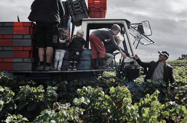 Family in France gathering around truck during grape harvest