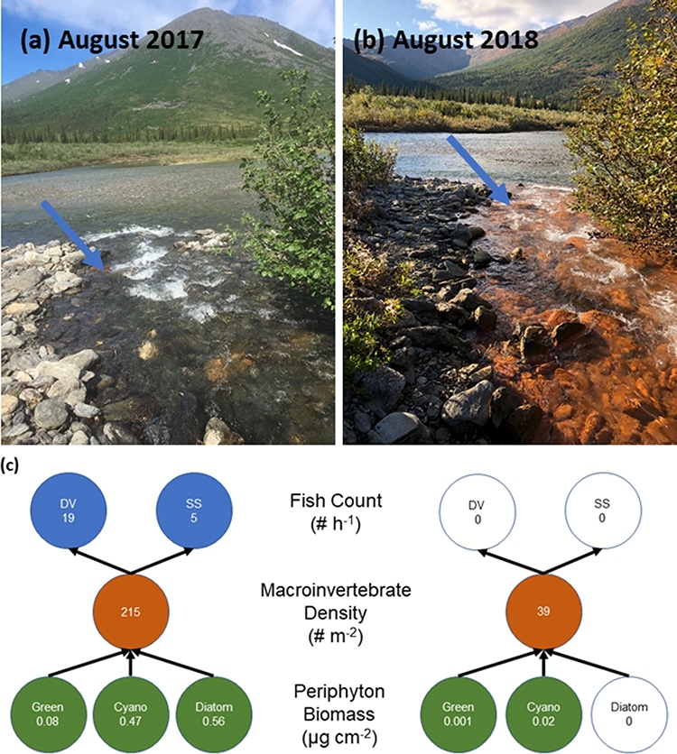 Permafrost Melting, Rivers Turn Orange