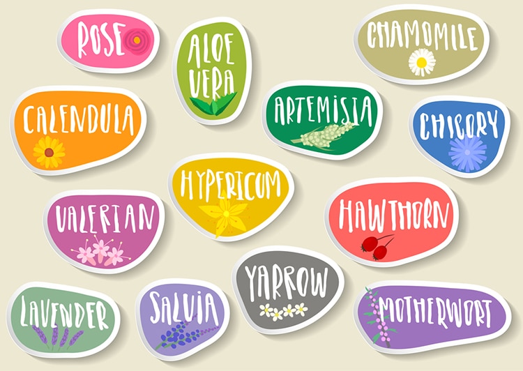 hand letter herb labels