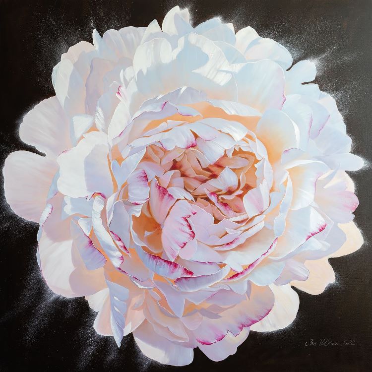 Detailed Painting Of A Pink Peony On Black Canvas