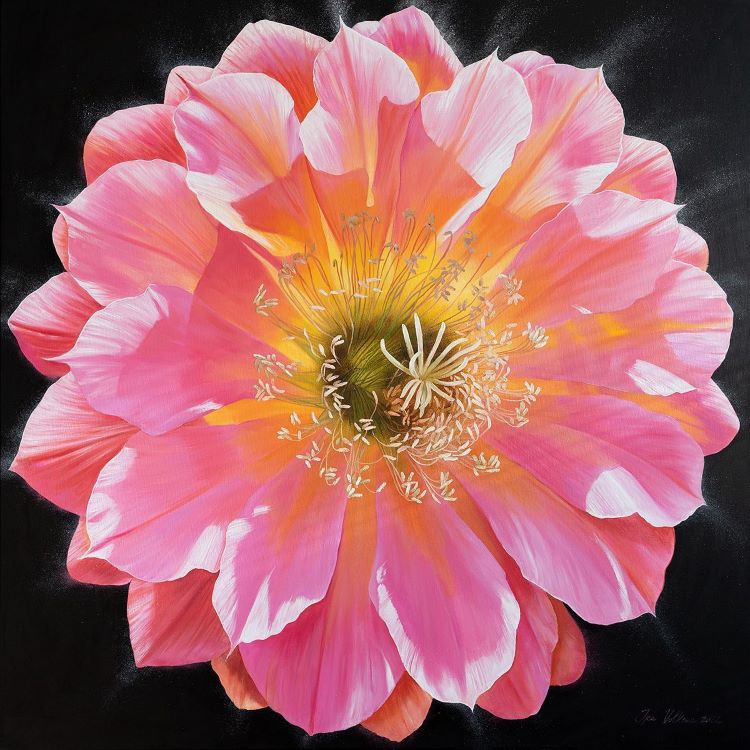 Detailed Painting Of A Pink Flower On Black Canvas