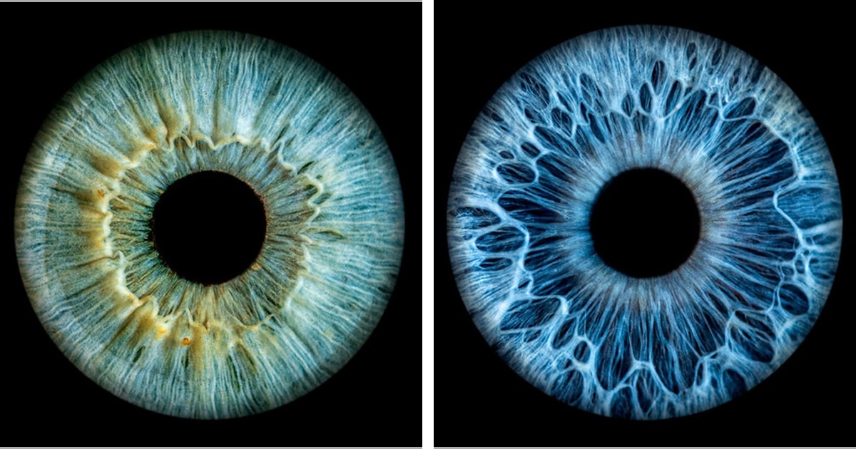 Captivating Iris Photography Captures the Unique Galaxies Within Each of Our Eyes