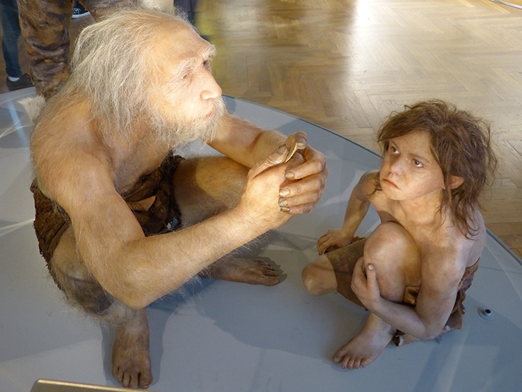 Six-Year-Old Neanderthal With Down Syndrome Shows Caregiving