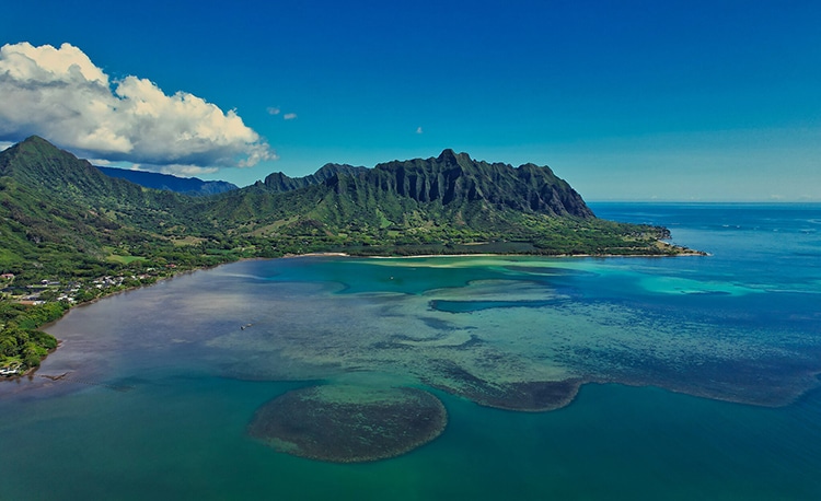 Kaneohe Bay where turtles are afflicted with fibropapillomatosis