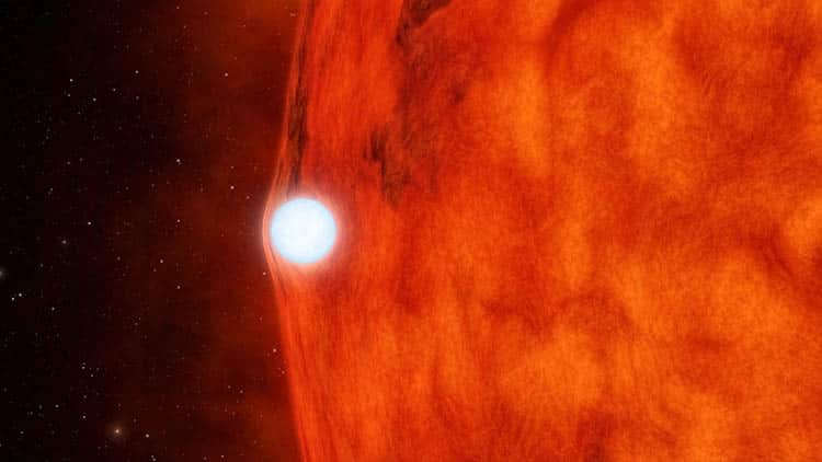 Dead Star Warps Light of Red Giant This artist concept depicts an ultra-dense dead star, called a white dwarf, passing in front of a red giant. This is a binary system similar to the one about to have a nova, T Corona Borealis