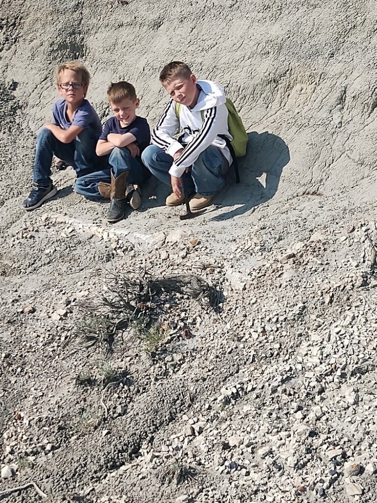 Juvenile T. rex discovery in the Badlands