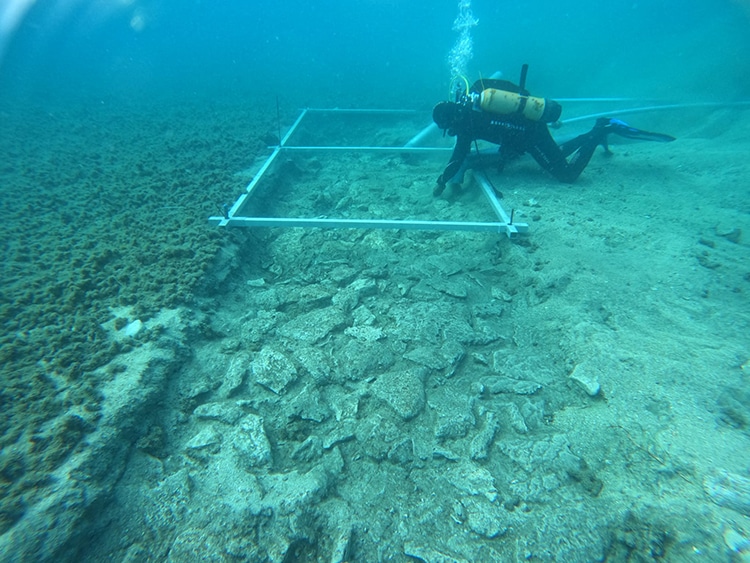 Researchers Discover 7,000-Year-Old Underwater Road