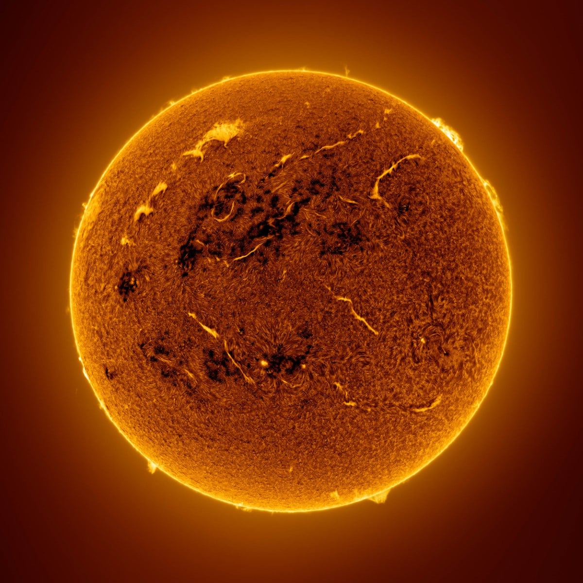 Detailed image of the sun