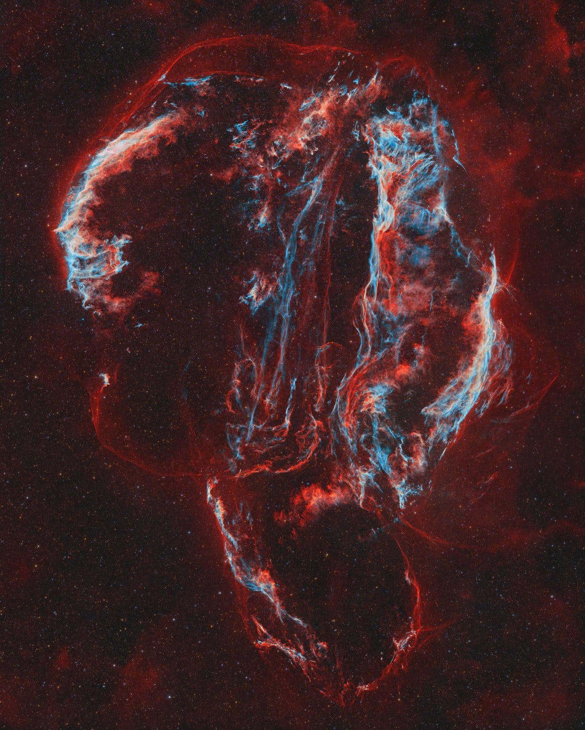 Cygnus supernova afterglow