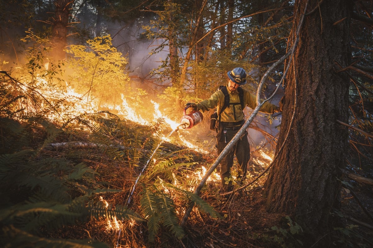 Hoopa Valley tribal member starting a controlled forest fire