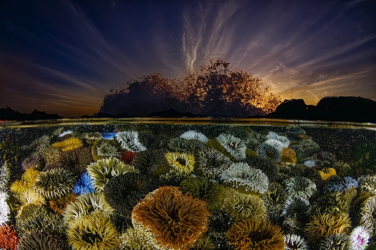 Over and underwater photo of tidepools off of South Africa’s Cape Peninsula