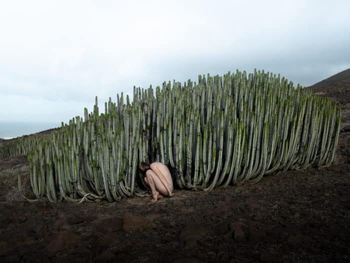 Artistic portrait of naked girl crouched by cacti
