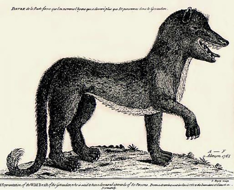 The Mysterious Beast of Gévaudan, the "Werewolf" of France