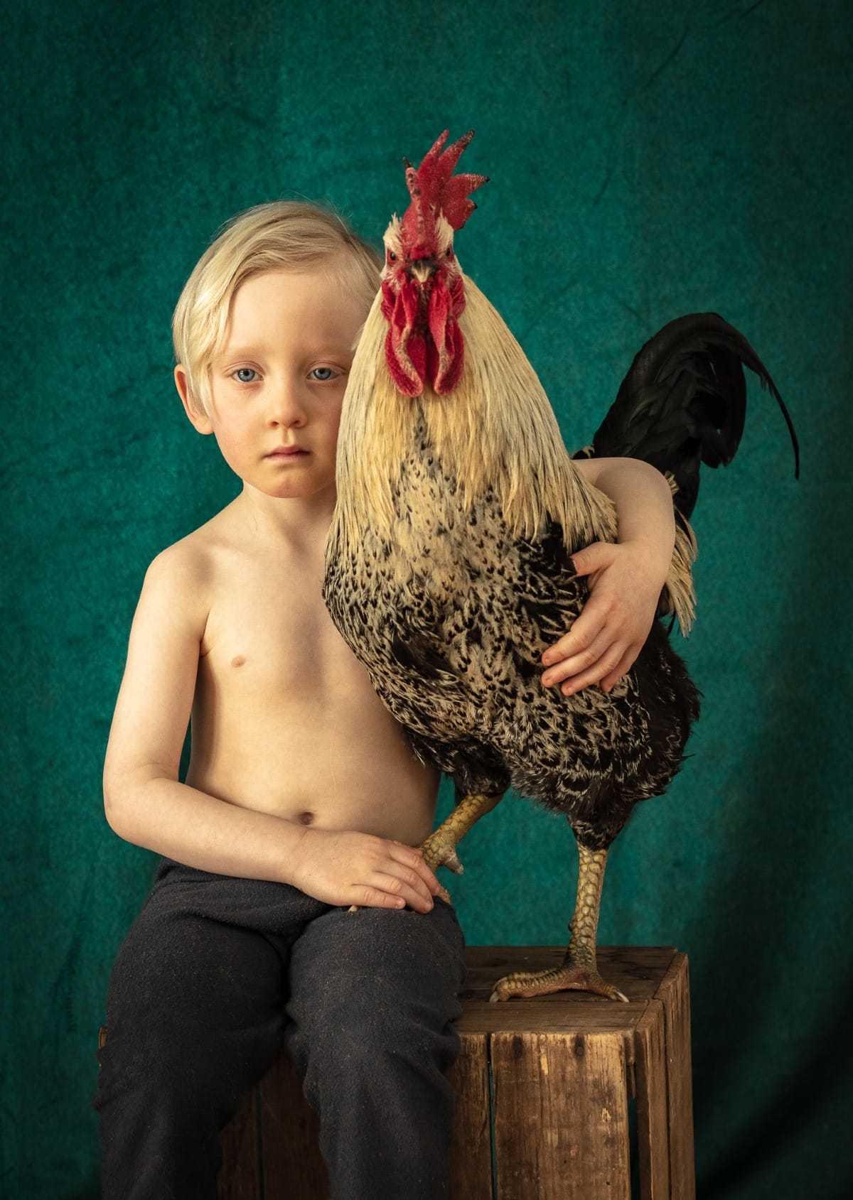 Portrait of a boy and a rooster