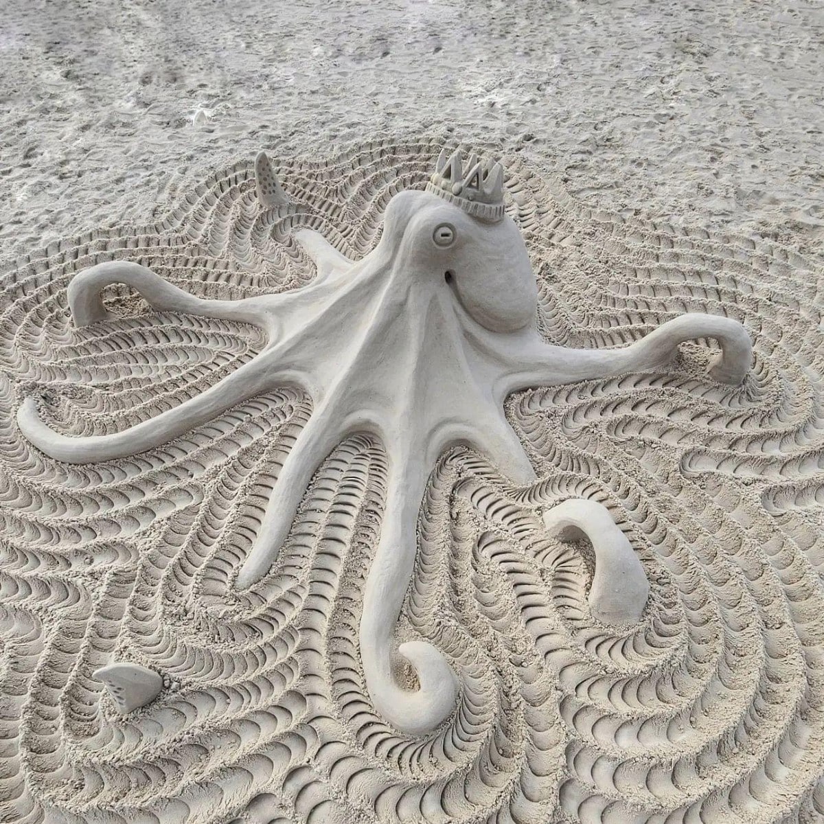 Octopus sand sculpture
