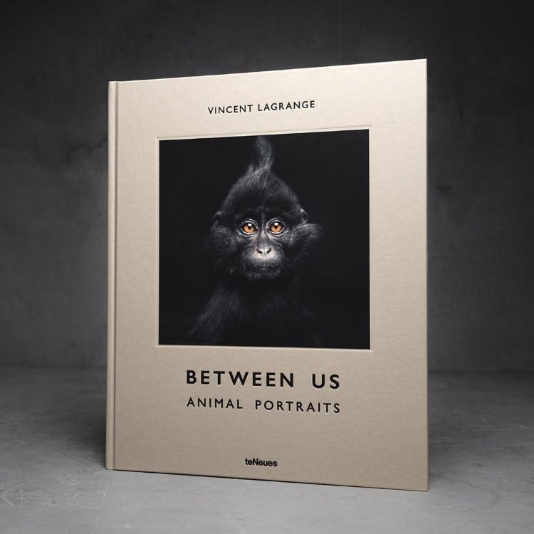 Between Us: Animal Portraits by Vincent Lagrange