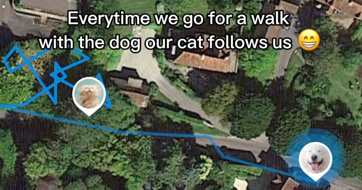 Stealthy Cat’s GPS Tracker Shows It “Secretly” Trails Dog and Owner