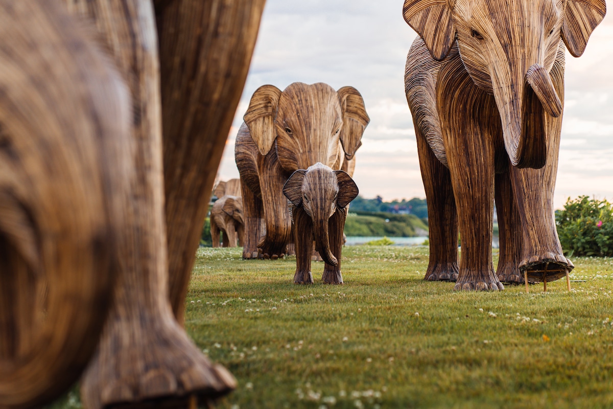 The Great Elephant Migration Sculptures by The Elephant Family and Art&Newport