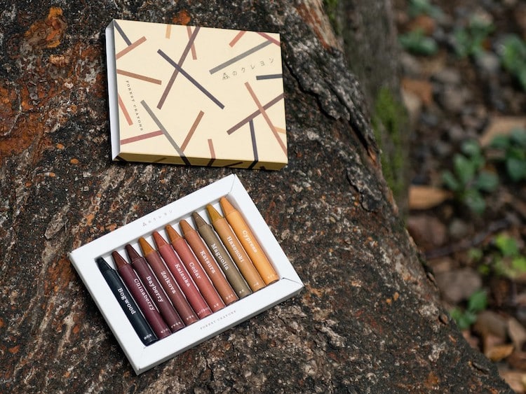 Forest Crayons by Playfool