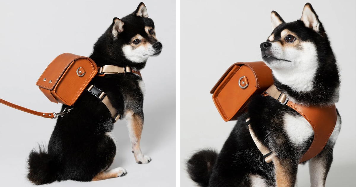 Dress Your Dog up With These Adorable and Functional Japanese Leather Backpacks