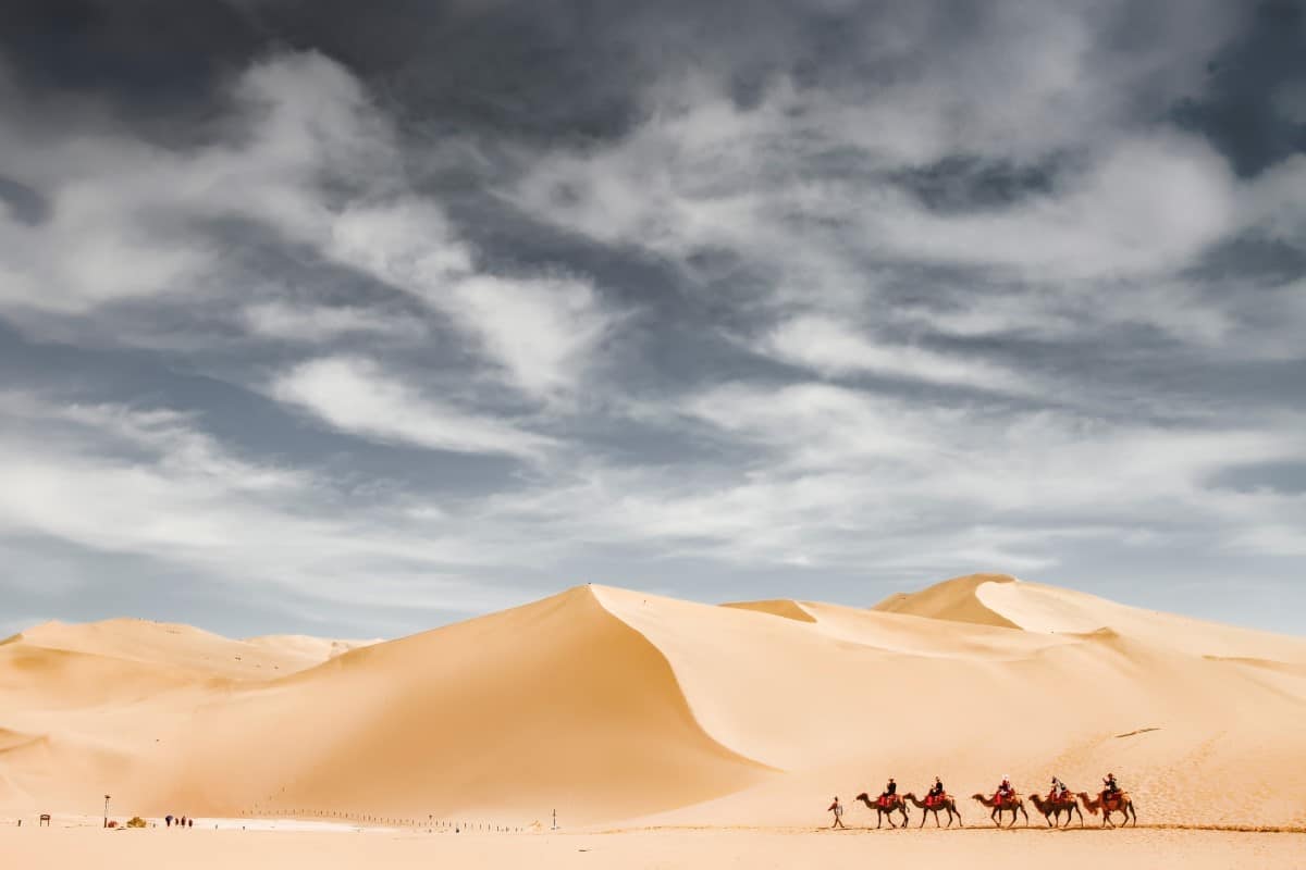 Camels in the desert Crescent Spring and Ming Sha Mountain