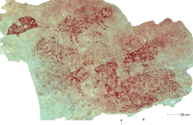 Sulawesi Cave Art