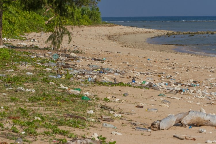 TeamSeas and Mr Beast Successful Ocean Plastic Cleanup