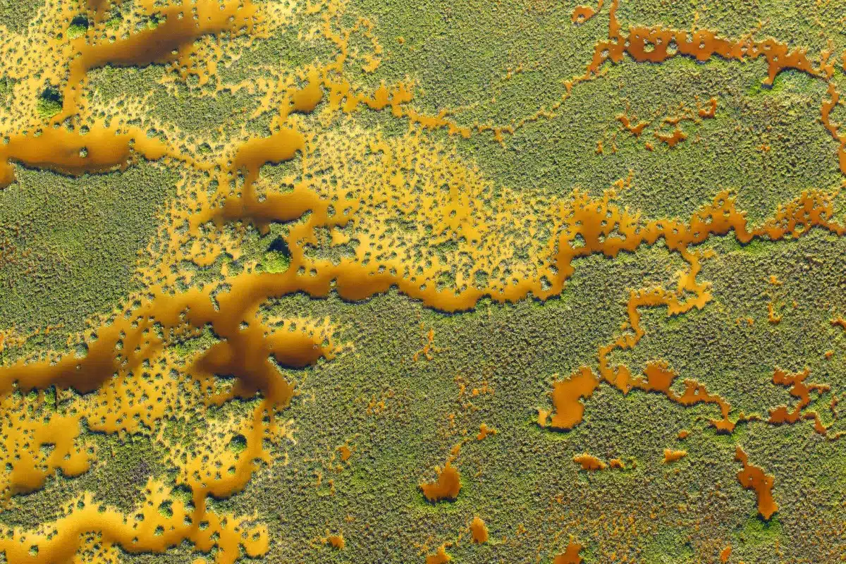  Sian Ka'an Biosphere Reserve in Quintana Roo in Mexico’s Yucatan Peninsula