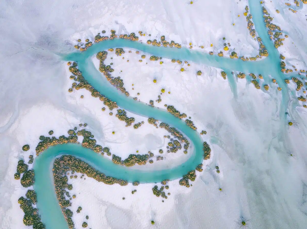 Aerial view of river winding through mangroves in Al Dhafra Region, Abu Dhabi