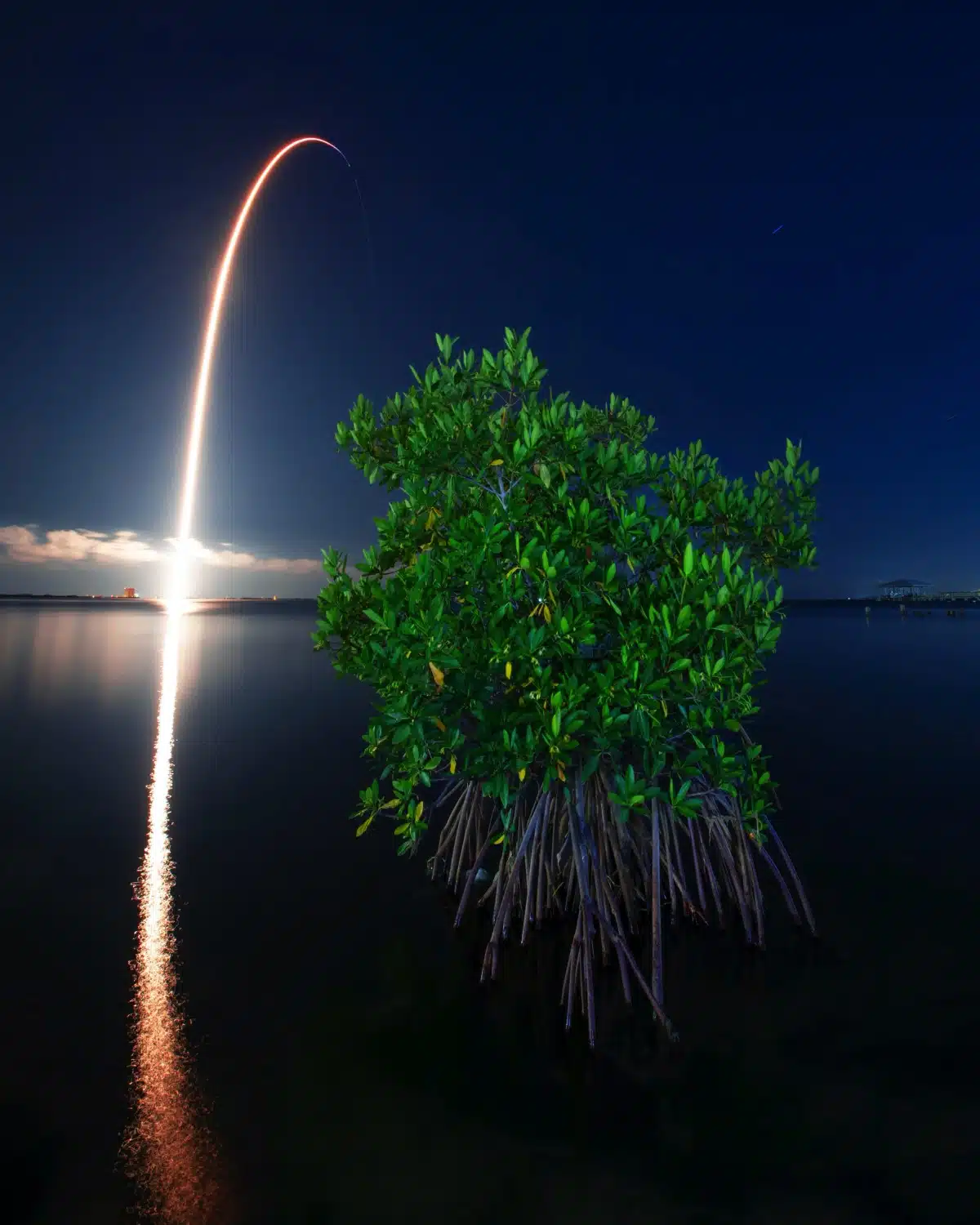 Space X Rocket Launch Above Florida Mangroves